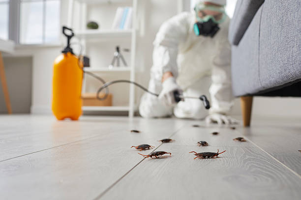 Commercial Kitchen Cockroach Control in Roseland
